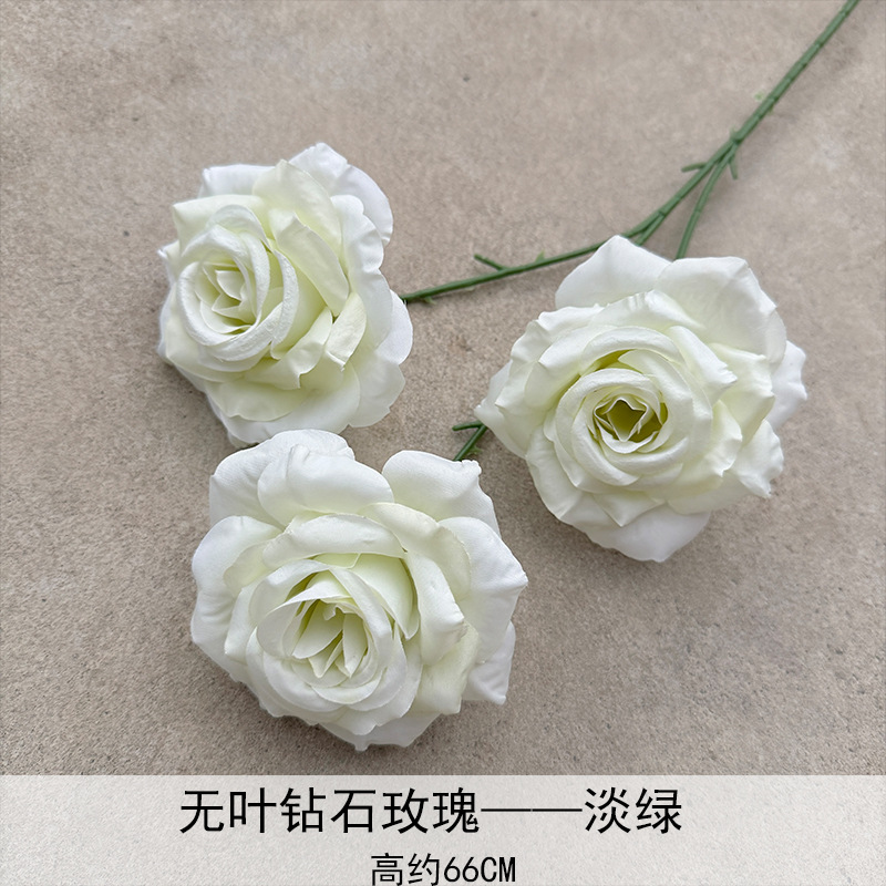 Rosa de diamante verde pálido