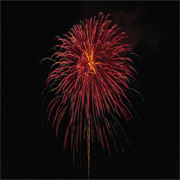 FW1-2-1-D 24V 4...20mA_欧洲品牌，原厂直采，价格低廉，报价迅