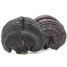 `֥1Ұ֥Ƭ500g֦ɽNֲ`֥