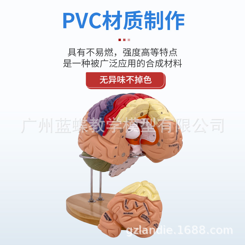 ��ģ���Թ�������ɫ��ģ�� ������Խ���ģ�� ���Զ�����������