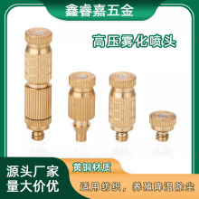 �߉��F������3/16�Bֳ�����I���س��m�Nֲ�����ӝ��F�^�S�~����