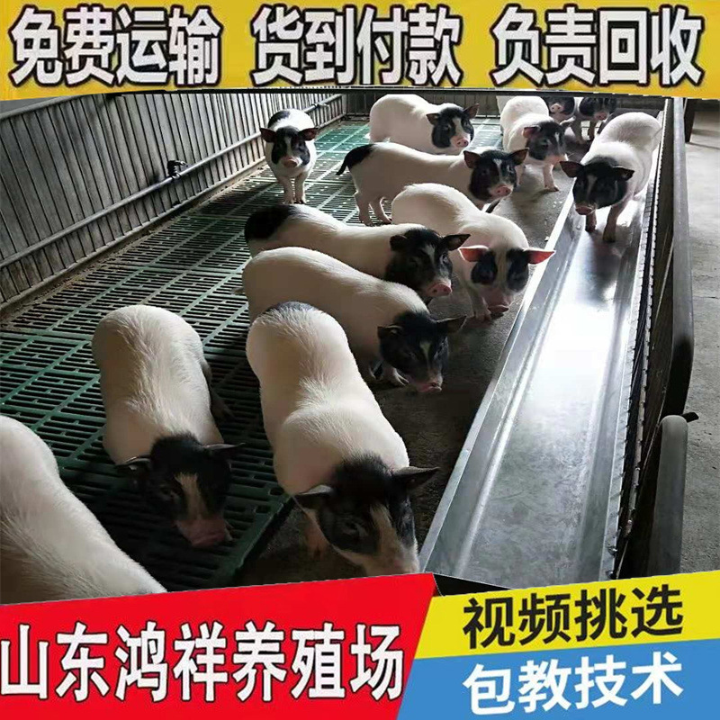 ed6537287ba149ee8cc92fe3edd8ae