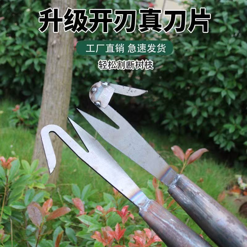 微信图片_20260321191558_250_28.jpg