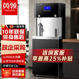 英领商用净水器大型直饮水机公司学校工厂大流量RO反渗透净水设备