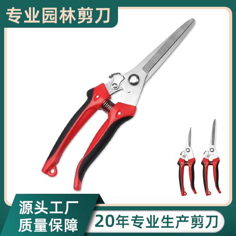 不锈钢直头园林剪农场采摘果树修枝剪园艺修剪工具修枝剪嫩枝剪
