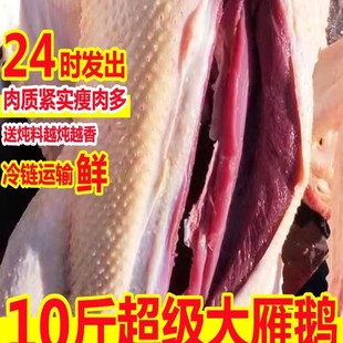 ���Z��ֻ10��Ǵ��Z���r�Z�����Z����ɢ�B�Ǵ��Z���Z���Z����