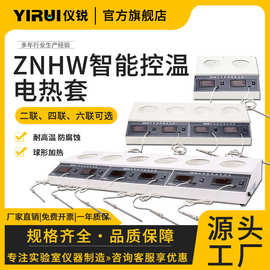 泰斯特四联电子调温电热套1000mlYR-4双联恒温数显电加热套500ml