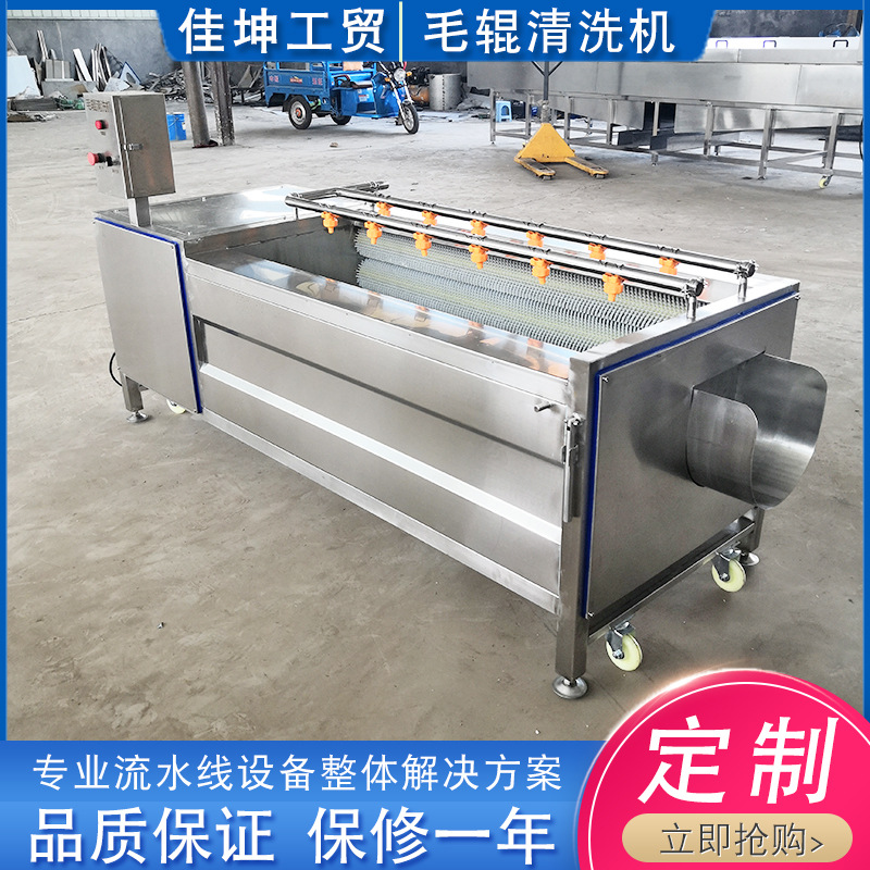 供应 莲藕清洗去皮机 桔梗毛刷清洗设备 不锈钢毛辊清洗去皮机