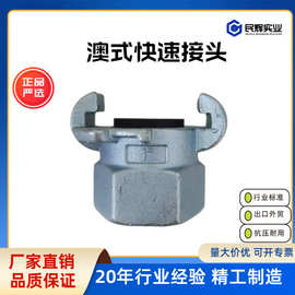 源头厂家澳式羊角接头Air hose coupling澳式A型内螺纹空气管接头