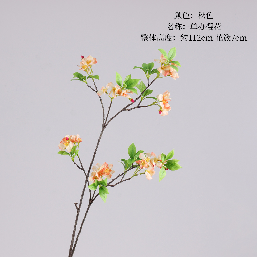 Single cherry blossom-autumn color