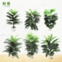 叶子植物盆栽仿真绿植