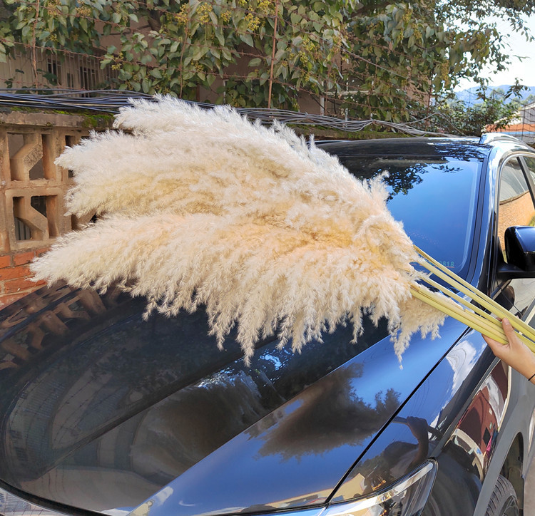 BVO9L85Q8CB}UDKIKJMT]36