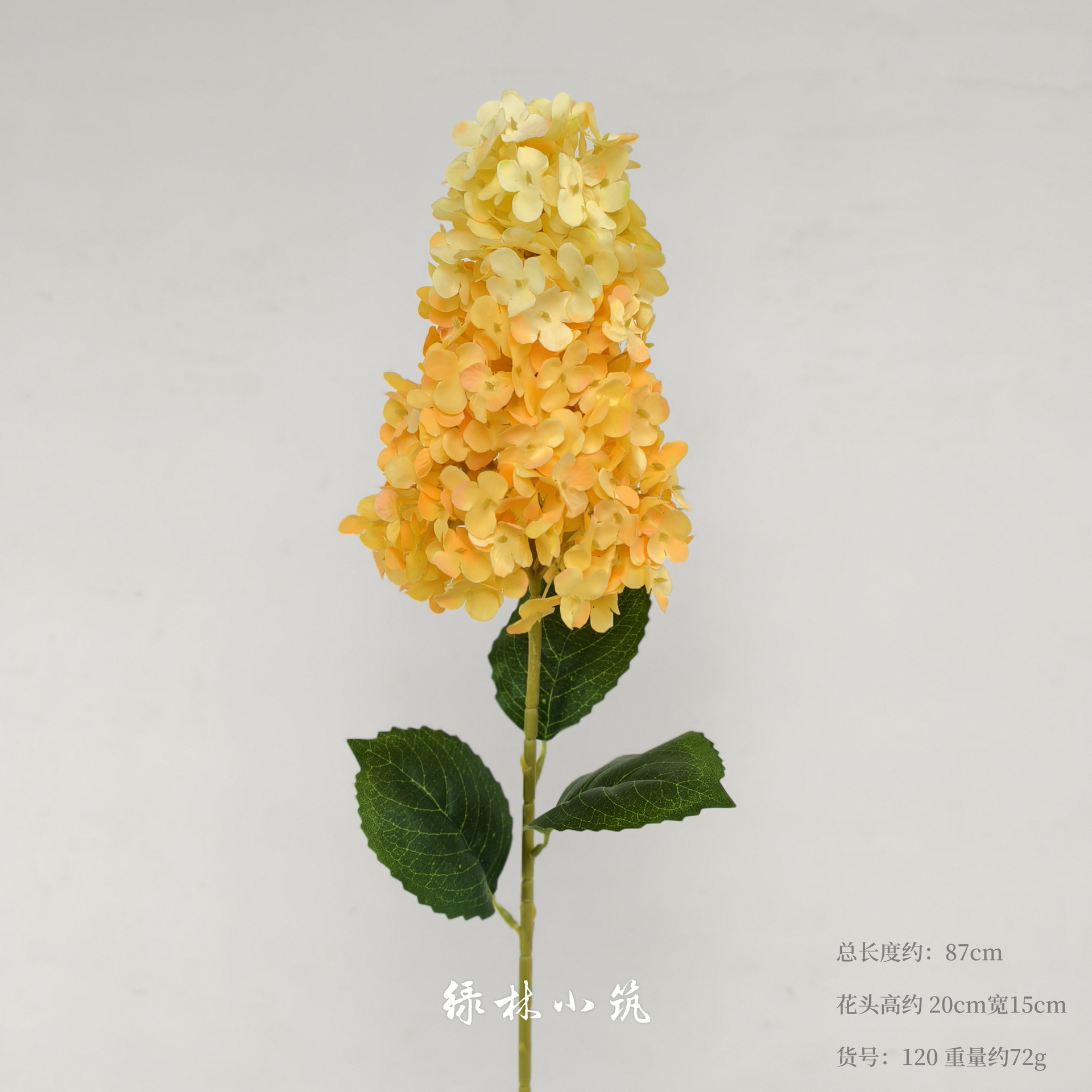 품목번호 120-파고다 수국