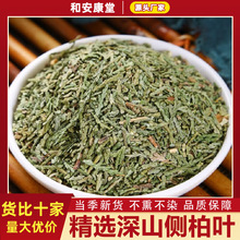 中药材新鲜侧柏叶生侧柏叶扁柏叶洗头洗发水搭何首乌侧柏叶粉原料