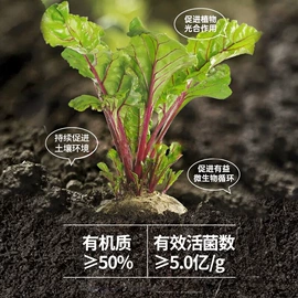 栽培基质;有机肥;园艺灌溉工具