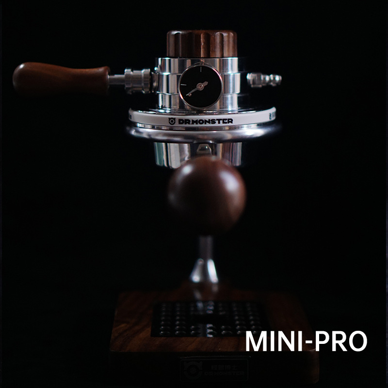 MINI-PRO