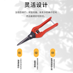 Korean multi-purpose industrial steel electronic scissors manufacturer wholesale garden spring scissors straight head pruning shears