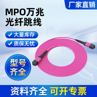�z�b��ȼMPO���w����100G������ģ8/16/24оOM3/OM4��ģ�K���þ�