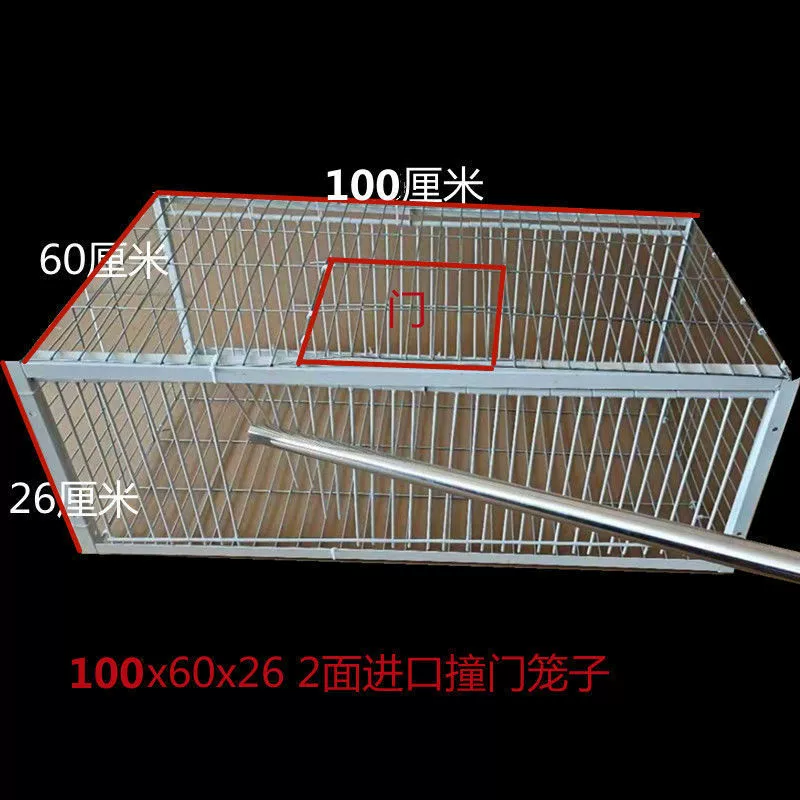 Автоматическая клетка для голубей с автоматической дверной шторкой для входа голубей.