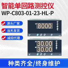 WP-C803-01-23-HL-P智能单回路测控仪4-20mA液位显示控制仪