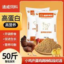 ͨ���u���50�����uС�u�д��u�w������r�u�_�������Zͨ��ȫ�r��