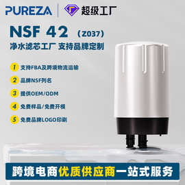 跨境专供FR-200水龙头滤芯过滤器Z037碧B然德自来水滤芯 FF-100