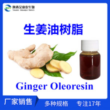 生姜油树脂25% 生姜油 Ginger Oleoresin 复方精油护肤香薰按摩