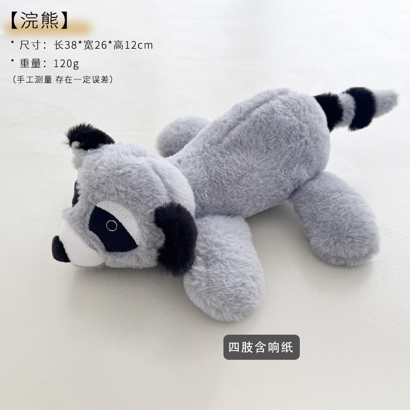 5종 동물 - 라쿤