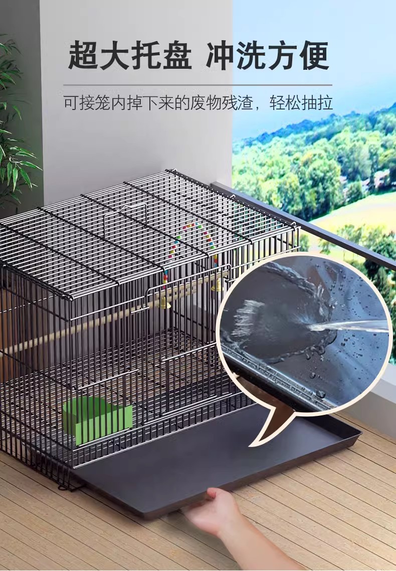 6d7a36db-cbb3-4c24-939e-3a520f6417a6.jpe