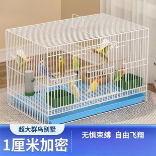 �B�\���ӻ\���û�Ƥ�e�����Pĵ���\�Ӵ�̖��ֳ�Bֳ