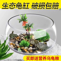 カメ水槽ガラスラウンドデスク怠惰な肥厚家庭用小魚クリエイティブ透明小型ミニデスクトップカメ水槽