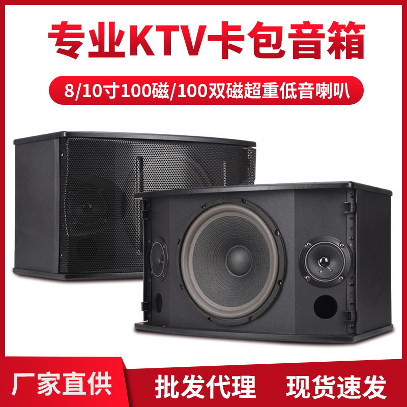 Qiasheng Card Holder Speaker 8inch 10inch Speakers for Karaoke, Conference, Teaching, and Training Use