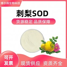 刺梨提取物 SOD60000u/g VC10% 刺梨粉 茨梨提取物  公斤装