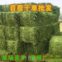 ι������0��ޣ�ݽ�����Ӻ��m�i�L�i¹20�����ϻ���ޣ�ɲݺ��