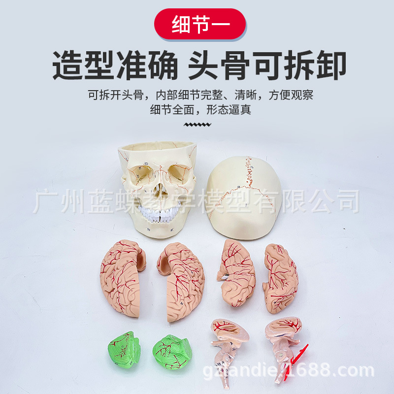 �Ƿ���ͷ�Ǹ���ģ�� ����ͷ­�� ����ģ�� �񾭿�­�Խ��� ͷ��