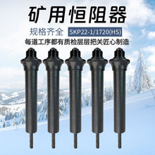 �a�������Lʽ�V���^�� ����SKP22-1/1720(HS)�a�����S�� �a����