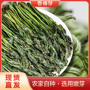 ������؛�㴻��ѿ �r��ˬ�����r�}�n���r�㴻ѿ �r�aƷ1���b���l