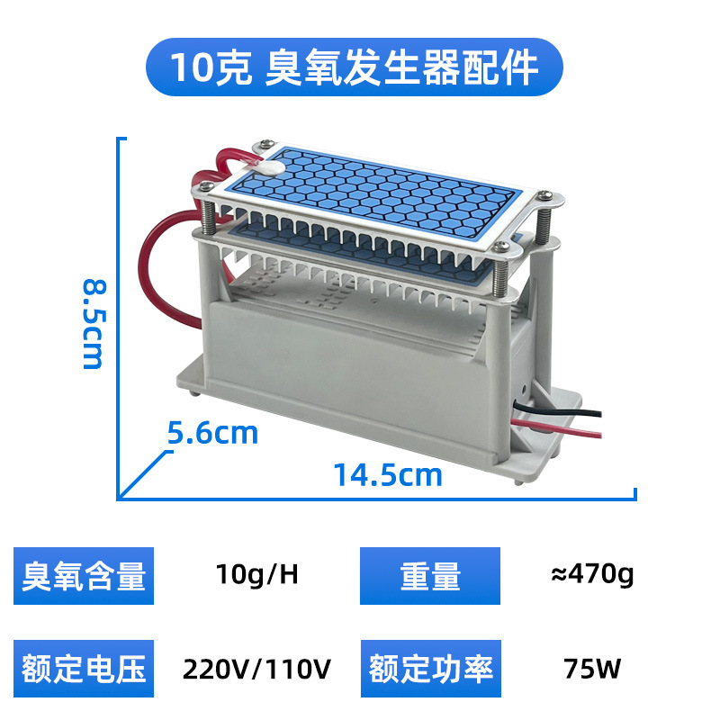 110V 10G