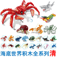 ��������eľ���ݺ����������~�з�����^ƴ�b���С�w���к�