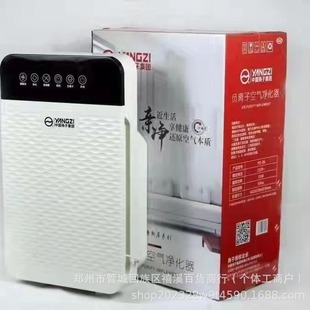 Yangzi Purifier Household Negative Ion Air Purifier Indoor Purifier Factory Wholesale Gifts
