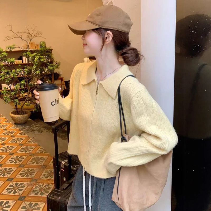 2025春秋新款翻领针织开衫外套女甜美温柔气质毛衣舒适休闲上衣潮|undefined