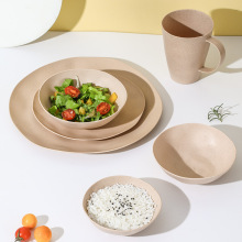 跨境不规则创意餐碗盘水杯餐碟塑料餐具套装美客多亚马逊批发
