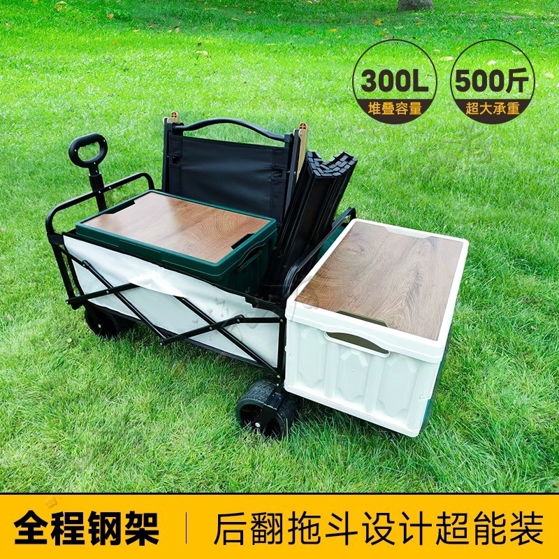 8668d29f-2b89-441f-9b31-dd1fa70e49fc.jpe