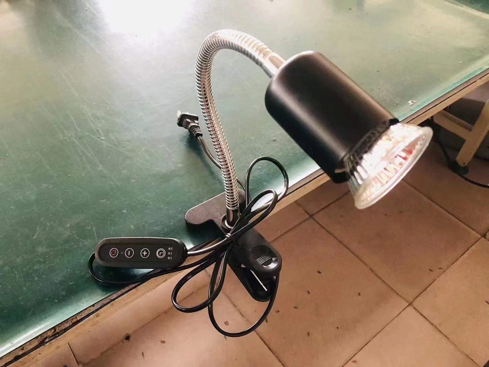 微信图片_20220816103831