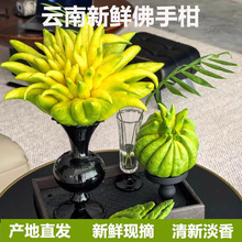 �Fժ���r���ָ��r����ʳ���^�p����ֹ��㙴���幩��Ȼ��޹���