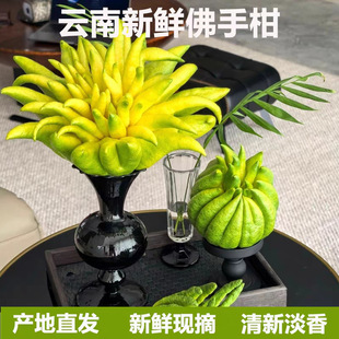 �Fժ���r���ָ��r����ʳ���^�p����ֹ��㙴���幩��Ȼ��޹���