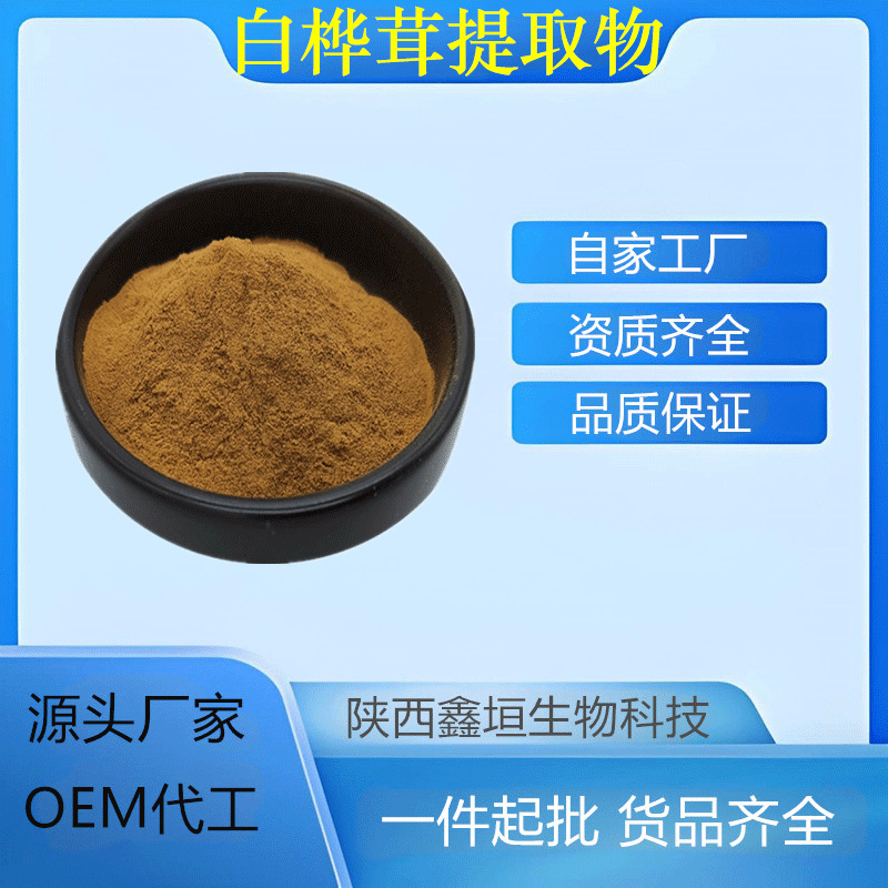 白桦茸提取物 10:1 多规格 水溶 喷雾干燥 白桦茸多糖 厂家现货