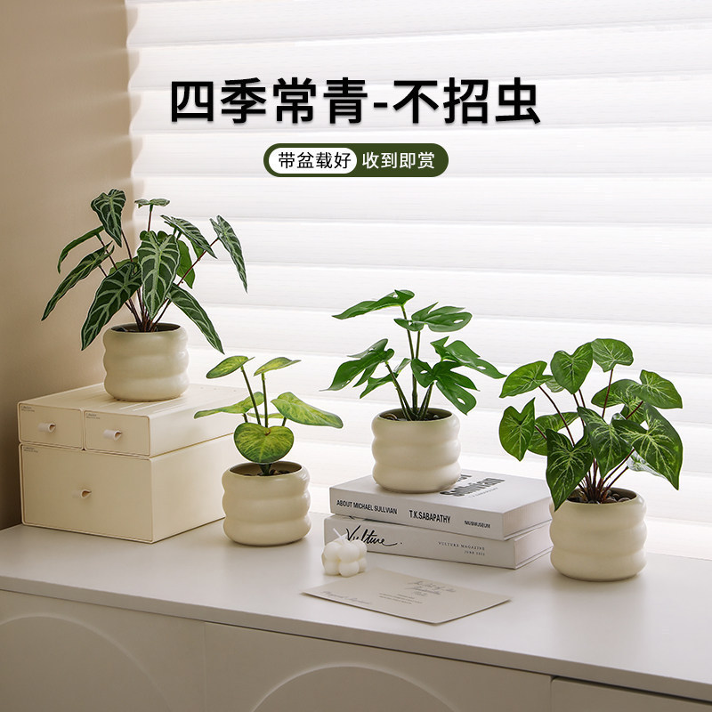 Nordic-style plant decorations, small potted plants for office and living room desktops, indoor bonsai, home decor, artificial flowers and green plants Nordic-style plant decorations, small potted plants for office and living room desktops, indoor bonsai, home decor, artificial flowers and green plants