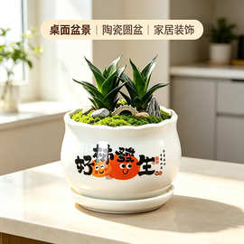 源头工厂陶瓷发财花盆带托盘桌面绿植盆办公室客厅喜庆多肉盆景盆