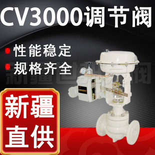CV3000-16�{���y �\ʽ�����{���y늄Ӵ�ڏ��{���y DN50 100 200